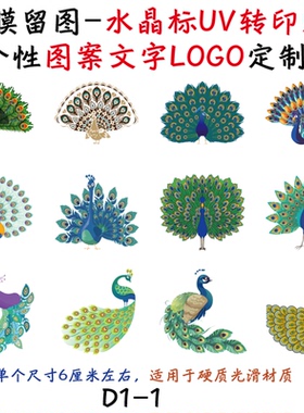 撕膜留图孔雀水晶标转印贴