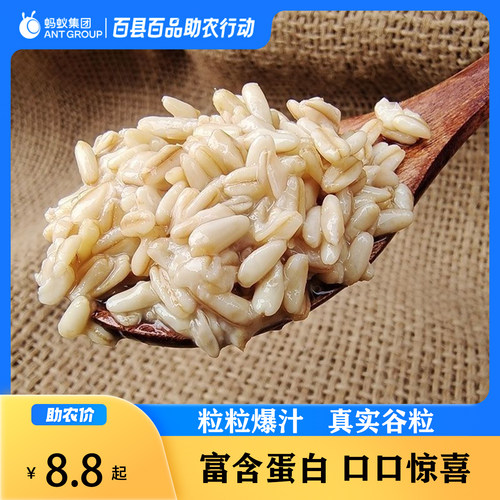 发酵燕麦膳食谷物甜胚子特色小吃特产甜麦子谷物发酵甜醅子