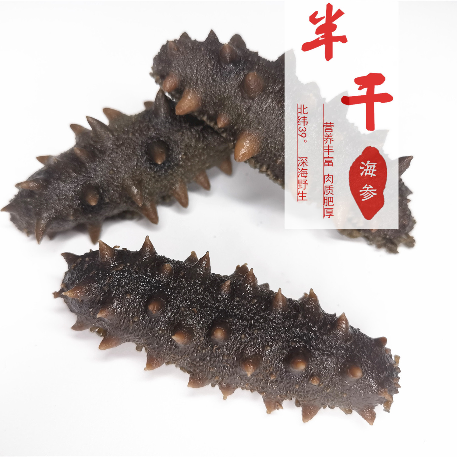 大连益元岛野生盐渍半干海参工厂直营店(500g)