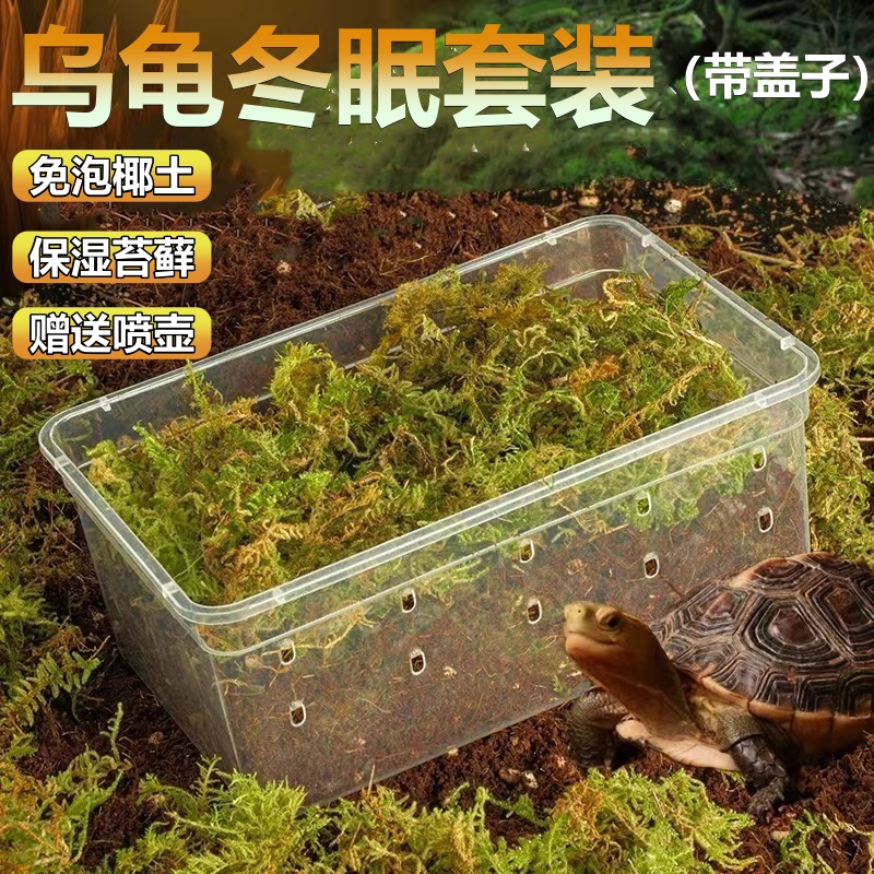 乌龟冬眠土爬宠椰土免泡型