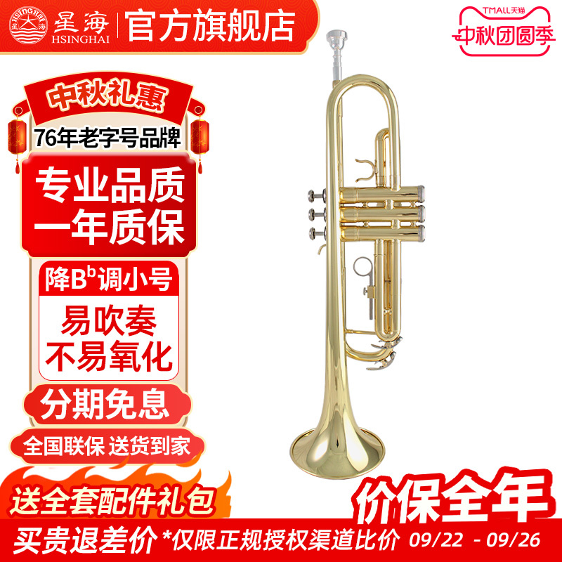 星海小号新款b调初学乐器