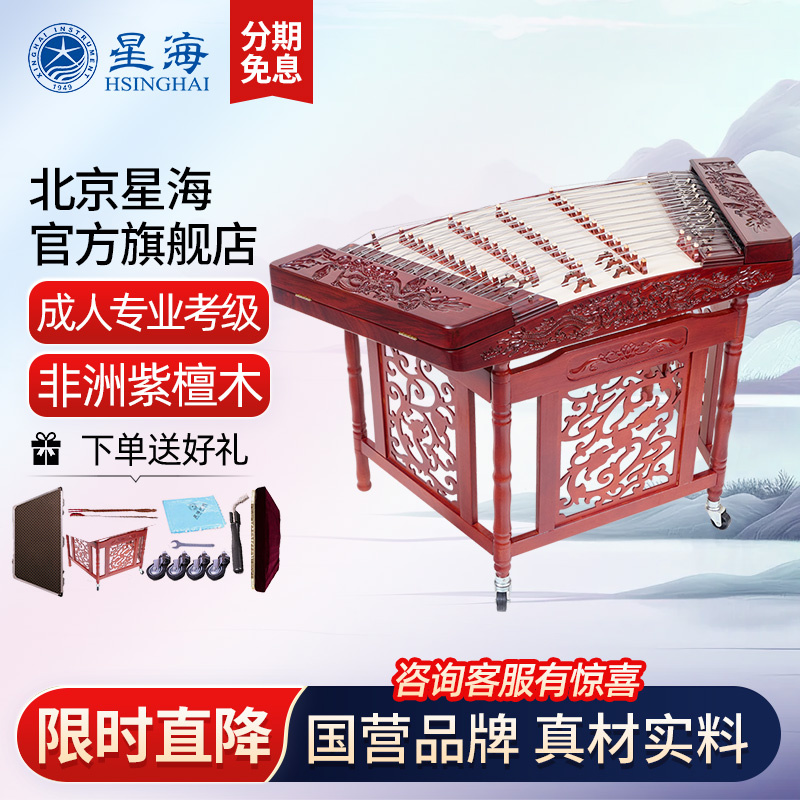 星海荷塘月下演奏考级民族乐器