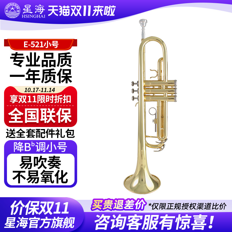 星海小号乐器xt-120专业演奏学生