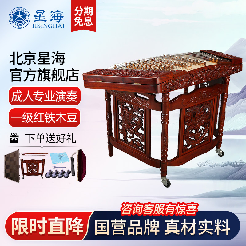 星海专业演奏8623f-a民族乐器