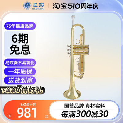 星海小号乐器xt-120专业演奏学生