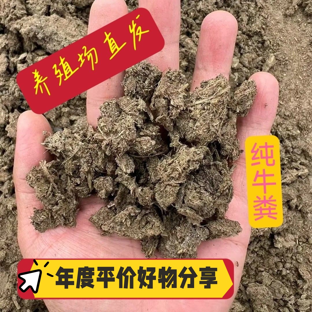 纯干牛粪有机肥优质农家肥