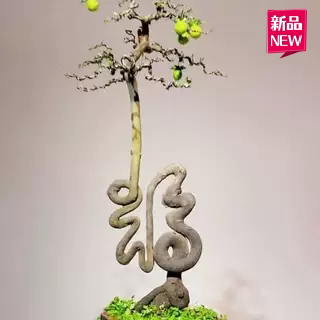 模具福字工具材料定型铝线模具图片