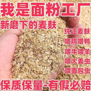 纯小麦麸皮适应牛羊猪鸡鸭鹅饲料小麦次粉钓鱼打窝现磨喂鱼大颗粒
