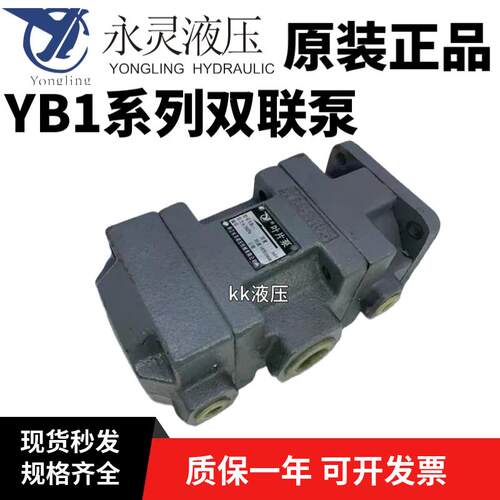 新款仙居双联叶片泵YB1-6.3/10/12.5/16/20/25/32/63/80/包邮