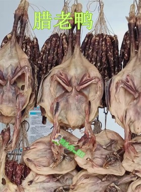 正宗东陂连州腊味腊鸭大麻鸭老鸭咸香礼品装包邮特产风干生晒腊肉