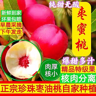 现摘大果珍珠小油桃枣桃枣蜜桃脆桃离核孕妇儿童老人纯甜无酸5斤