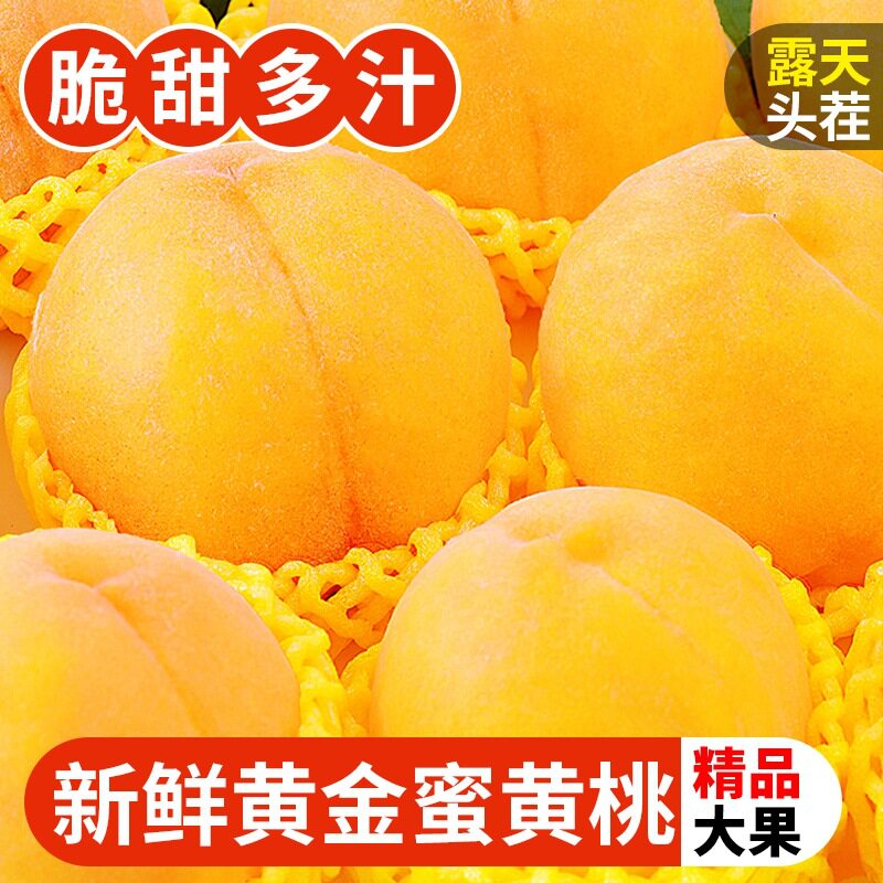现摘黄桃黄金蜜桃新鲜水果当季头茬桃子精选商超品质大果纯甜5斤