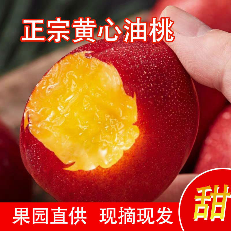 当季新鲜黄肉油桃无毛头茬陕西黄心麻点脆桃子蜜桃脆甜孕妇水果4J