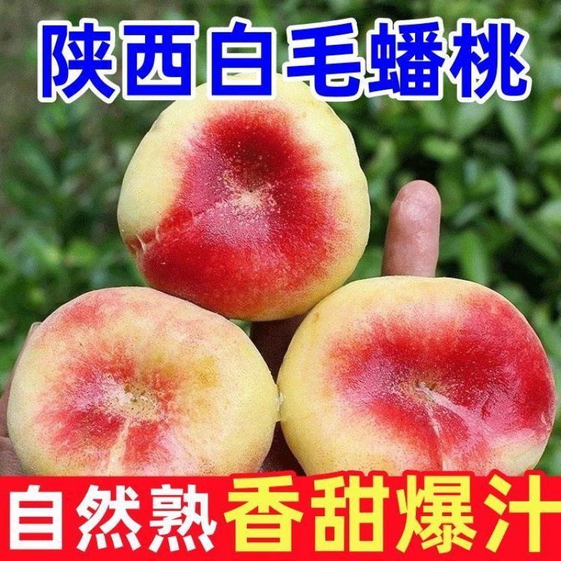 特级蟠桃扁桃水果新鲜大荔毛蟠桃陕西优质精品果包邮5斤整箱现摘