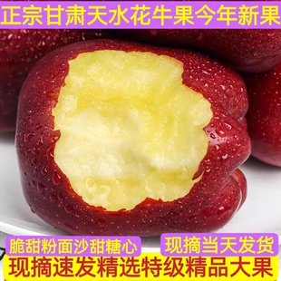 甘肃红元 帅陕西花牛苹果今年新果粉面沙田宝宝刮泥现摘现发整箱9J