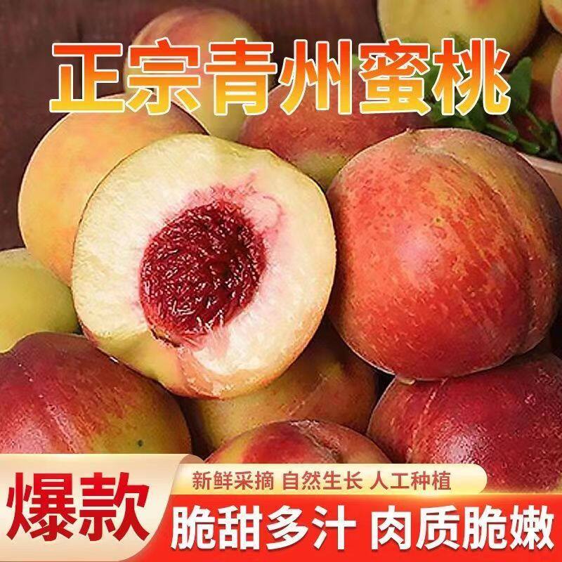 现摘冬雪蜜桃现货大果新鲜水蜜桃桃