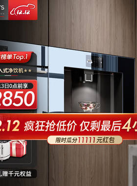 daogrs意大利v8嵌入式直饮机净水器一体机家用饮水机RO反渗透无水