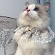 猫咪围脖猫项圈狗狗口水巾小中大型犬泰迪布偶猫围巾饰品宠物用品