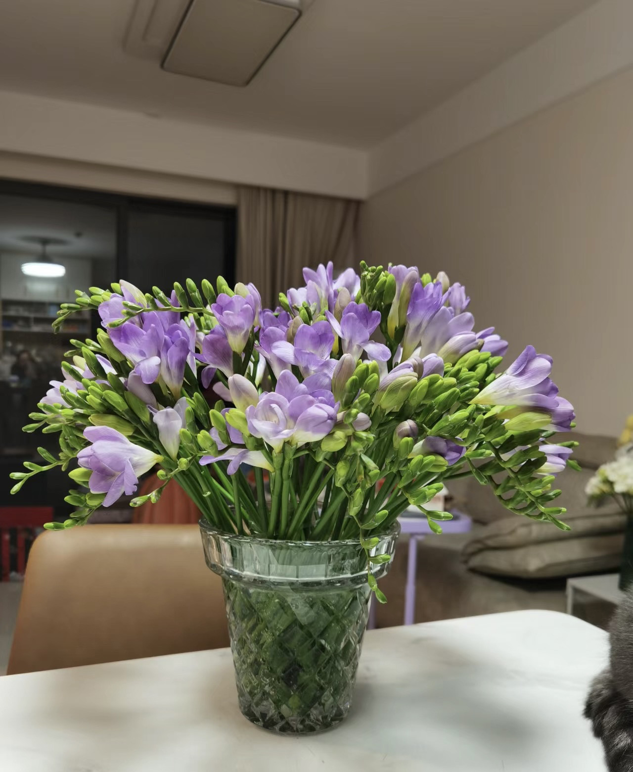 鲜切香雪兰鲜花小苍兰云南基地直发客厅家用水养装饰混搭花束