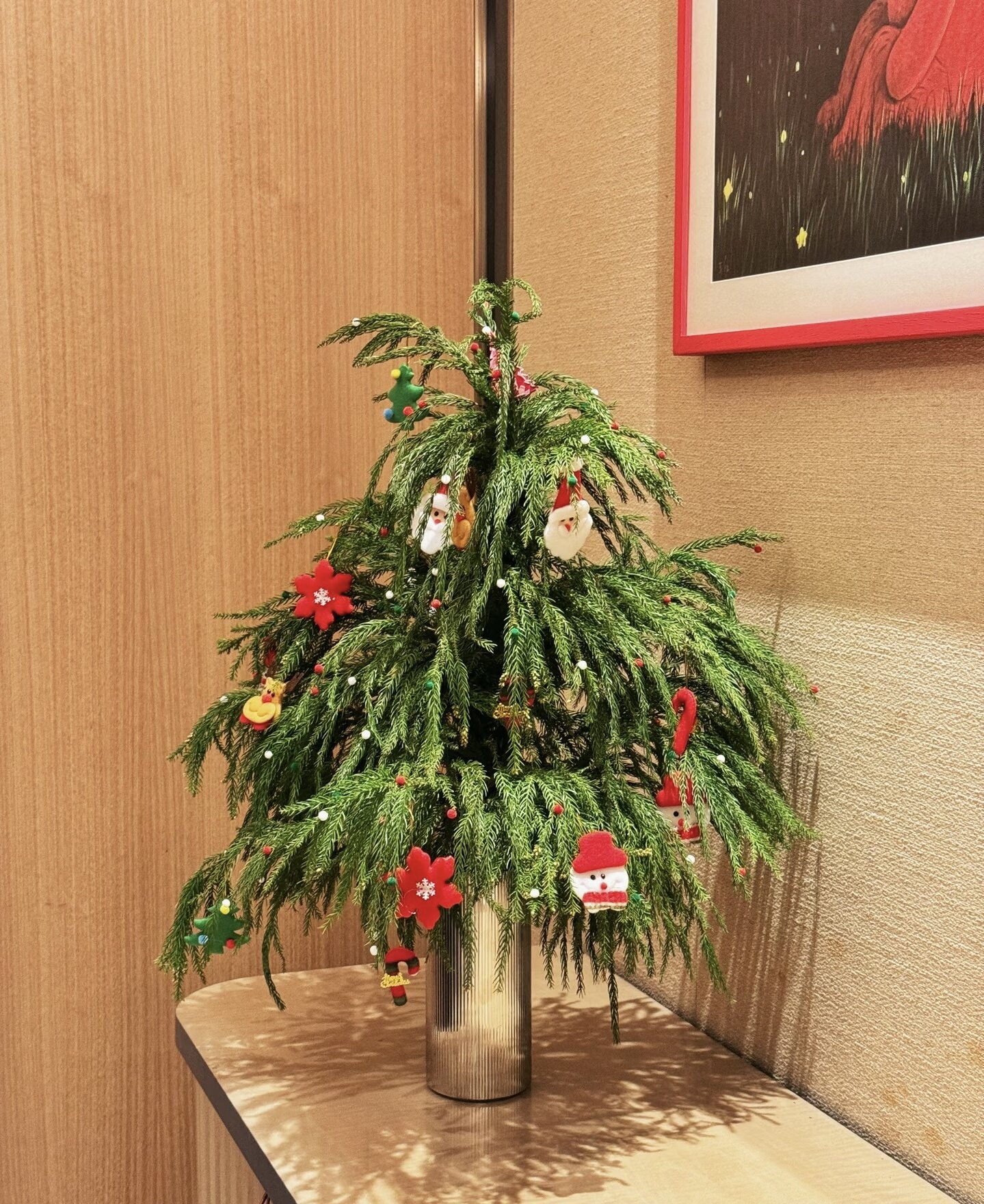 天竺少女松鲜枝氛围感水培百搭绿植鲜切枝花期长室内圣诞树圣诞花