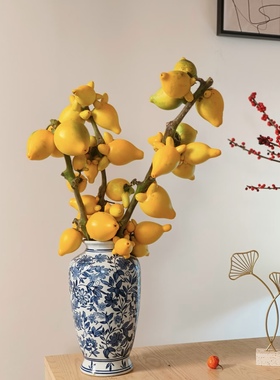 五代同堂果鲜切花花期长可长期存放小猪佩奇高端插花云南现采现发