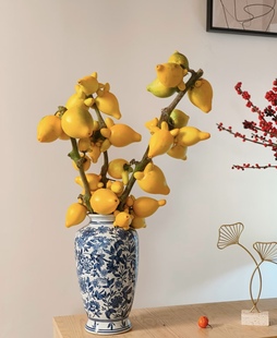 五代同堂果鲜切花花期长可长期存放小猪佩奇高端插花云南现采现发