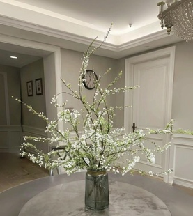 雪柳小手球鲜枝水培花期长珍珠李绿植室内鲜花水养开花卉龙柳插花