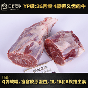 进口澳洲草饲牛腱子金钱腱YP级C腱3条装 进口牛肉 卤炖Q弹口感原装