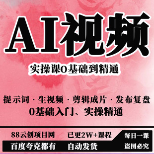AI视频实操课O基础到精通，提示词·生视频·剪辑成片·发布复盘