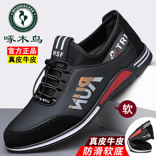 啄木鸟男鞋新款男士休闲皮鞋真皮软底运动鞋透气大码鞋防滑驾车鞋