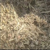 荻苇草精油荻苇草单方精油高浓度需要稀释超临界co2