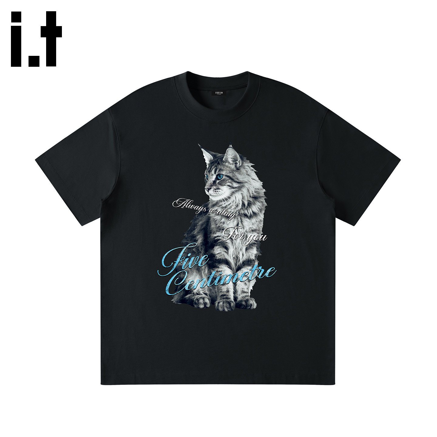 it :5cm/FIVECM男士短袖T恤宽松版型潮流风印花新款打底衫上衣服B
