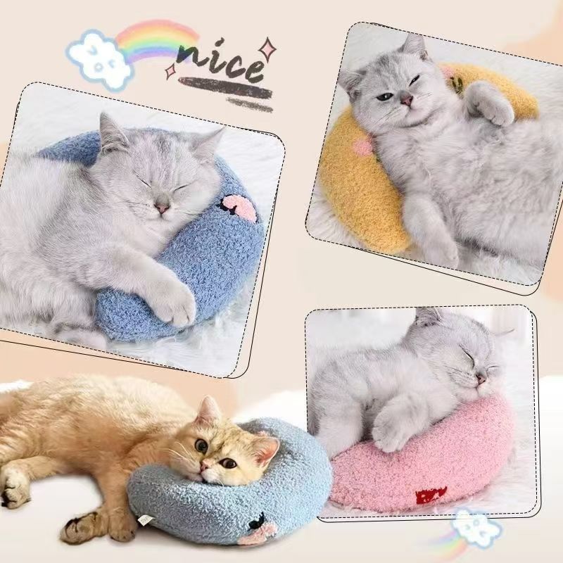 猫咪软萌泰迪绒新款沙发