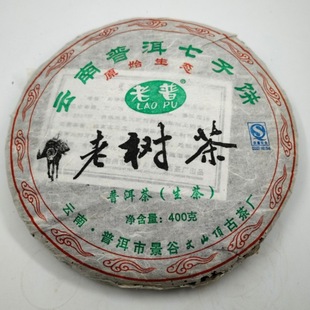 云南普洱七子饼原始生态茶老普老树茶特制2009年景谷古茶春茶饼茶