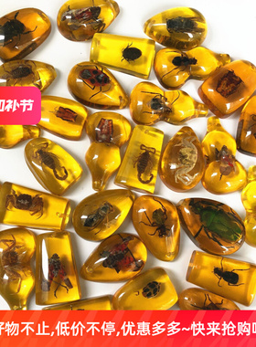 琥珀昆虫标本吊坠制作盲盒树脂胶儿童课本教学科普道具摆件小学生