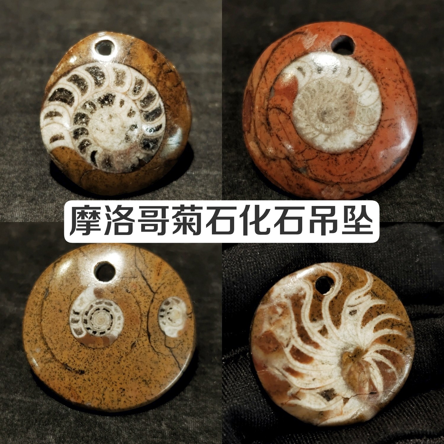 天然古生物摩洛哥菊石吊坠摆件小精品，化石标本博物教学科普收藏