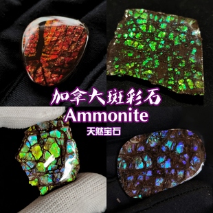 加拿大斑彩螺创意饰品化石有机宝石李居明斑彩石稀有收藏礼物饰品