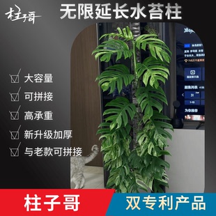 水苔柱 龟背竹专用水苔柱 柱子哥专利产品辅助气生根生长热植通用