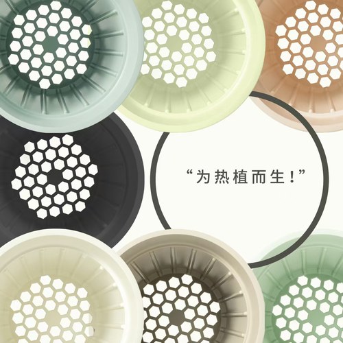 热植花盆防积水烂根新手花盆
