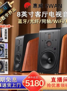 Hivi/惠威 M500 有源音箱高保真8英寸无线蓝牙桌面音响 m300mkii