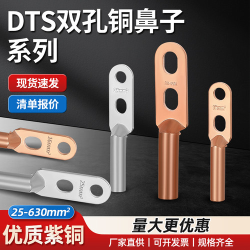 双孔铜鼻子接头双眼铜接线端子