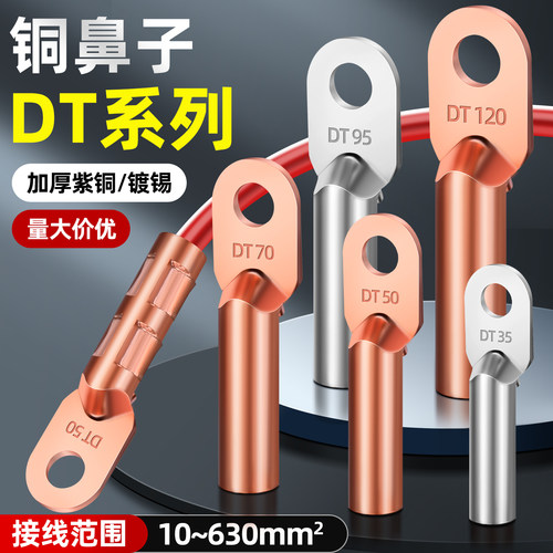 铜鼻子接线端子DT10-500平方