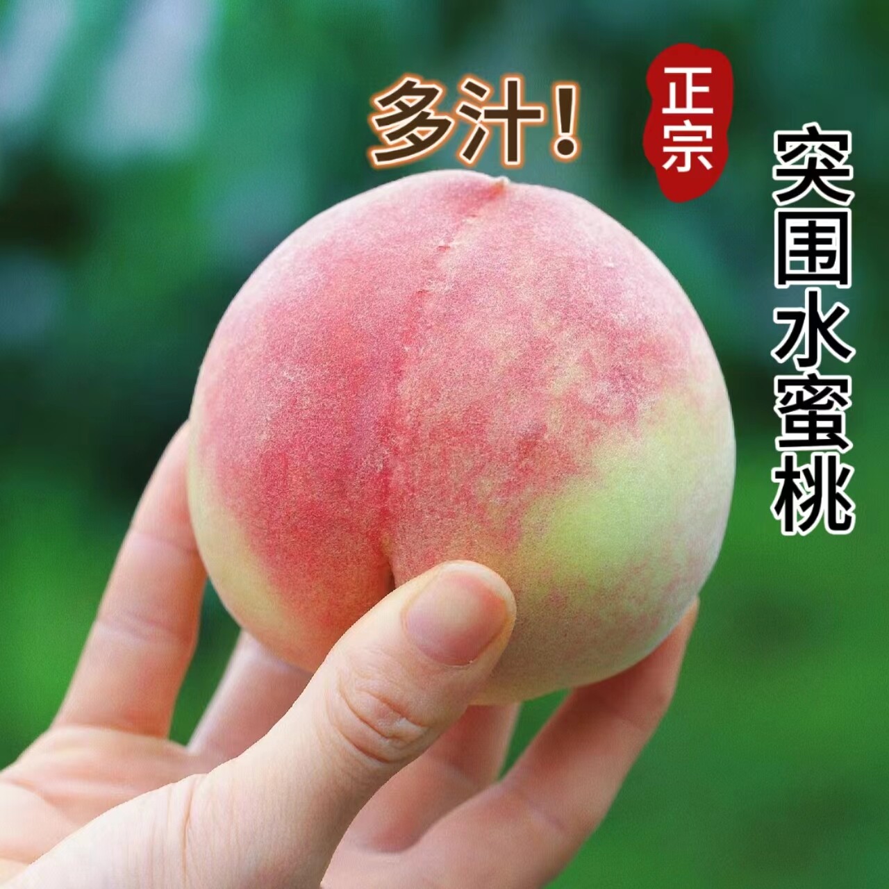 深州水蜜桃新鲜脆甜大红水蜜桃脆甜多汁现摘现发当季时令孕妇水果