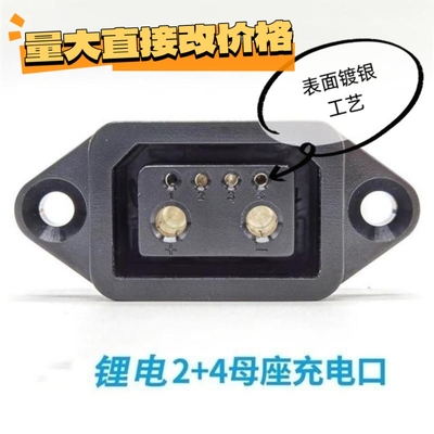爱玛小牛电动车天能星恒锂电池2+4充电口插头电源线充电器转接头