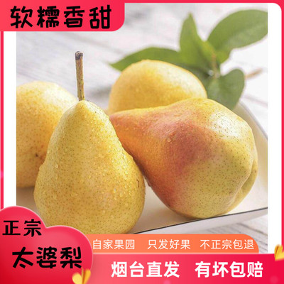 太婆梨新鲜水果烟台特产