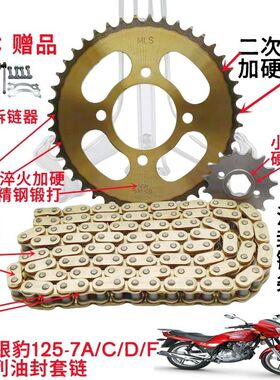 适用豪爵摩托车银豹HJ125-7-7E7N7F7M7D7G油封套链三件套链条链盘