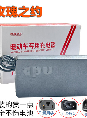 玫瑰之约电动车充电器60V7220D96V35DS108V20Ah铅酸石墨烯充电器