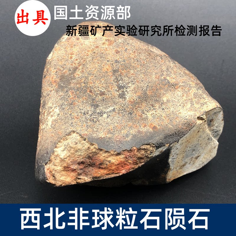 西北非普通球粒石陨石原石 有权威检测报告 有证书 天上的星星
