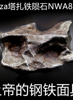保真Taza铁陨石塔扎镍铁陨石馆藏级陨铁天铁上帝的钢铁 2616g