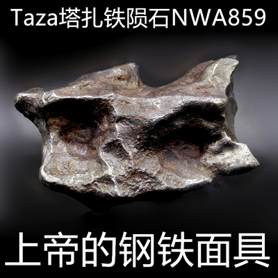 保真taza馆藏级象形铁陨石